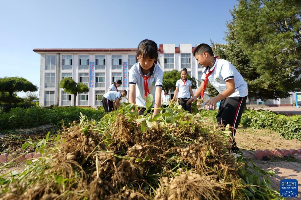 打牌网怎么注册